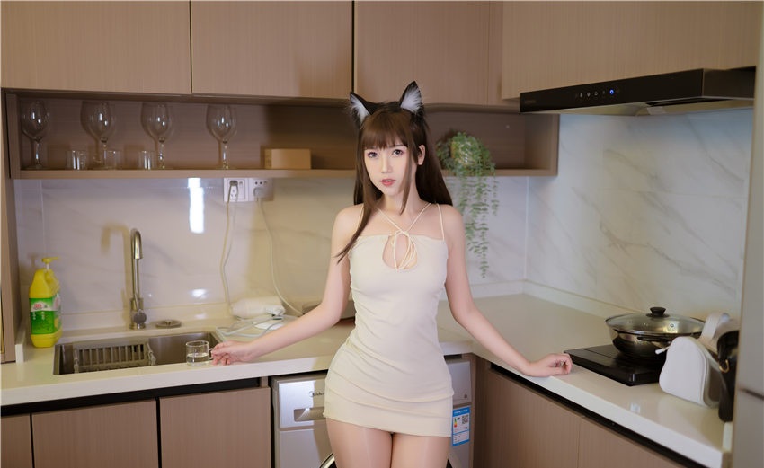 不呆猫图集预览 4