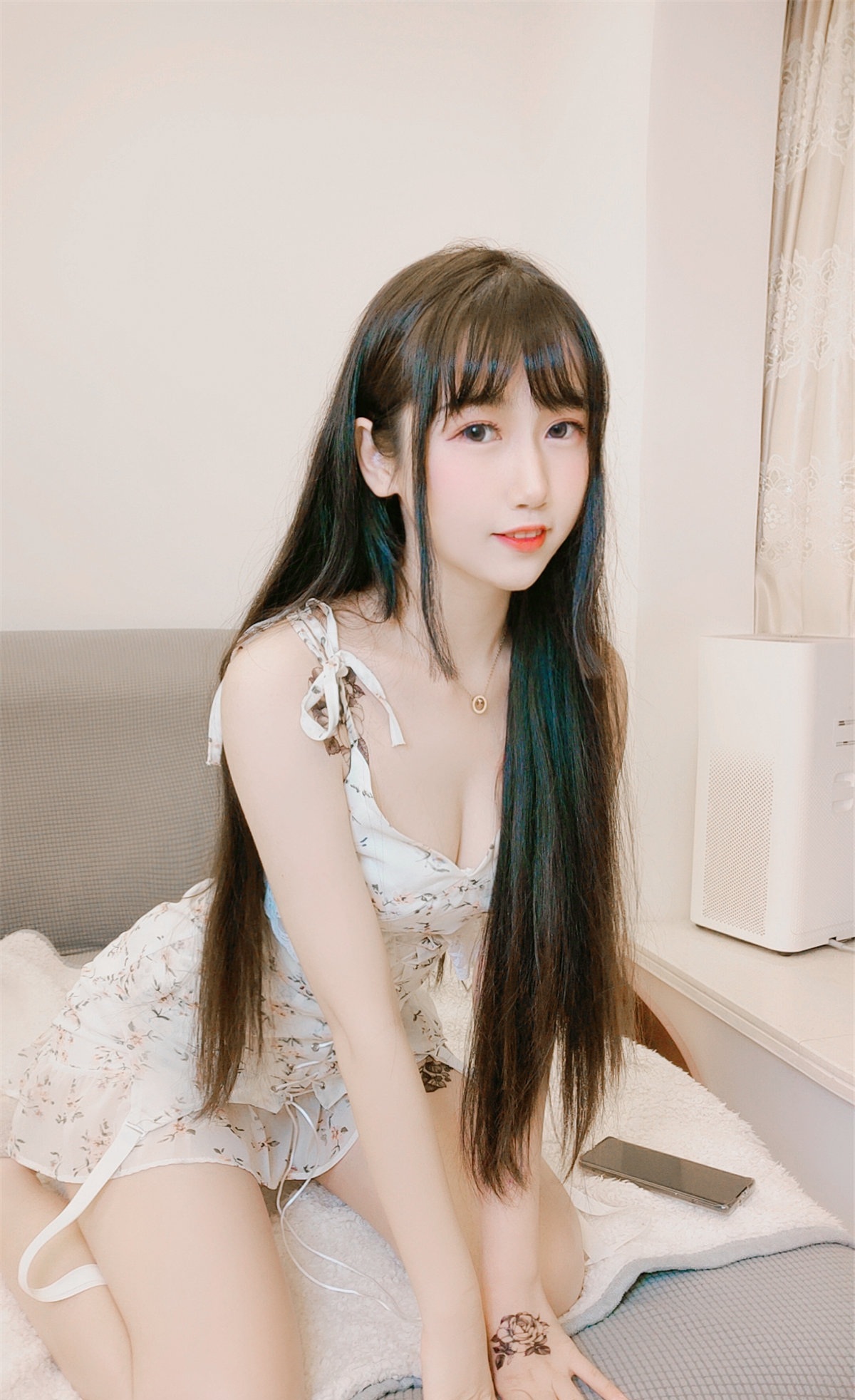 不呆猫写真预览4